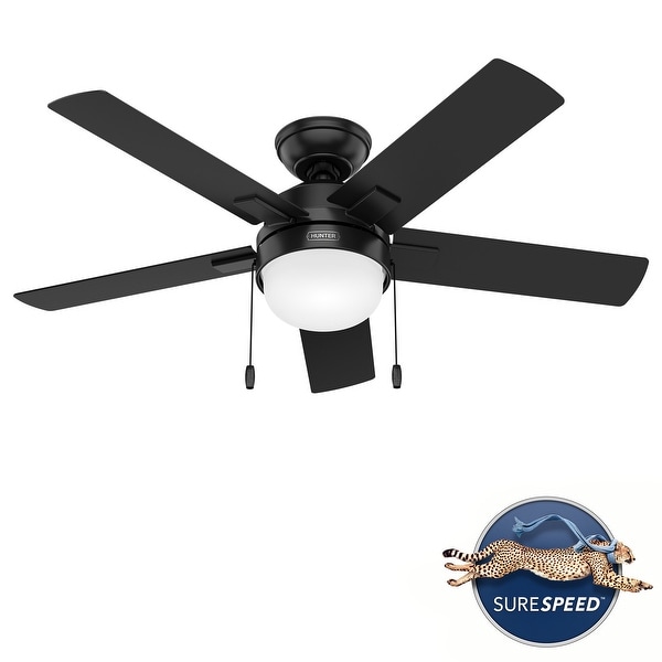 Hunter 52" Cassius Outdoor Ceiling Fan with Pull Chain, Damp Rated ...